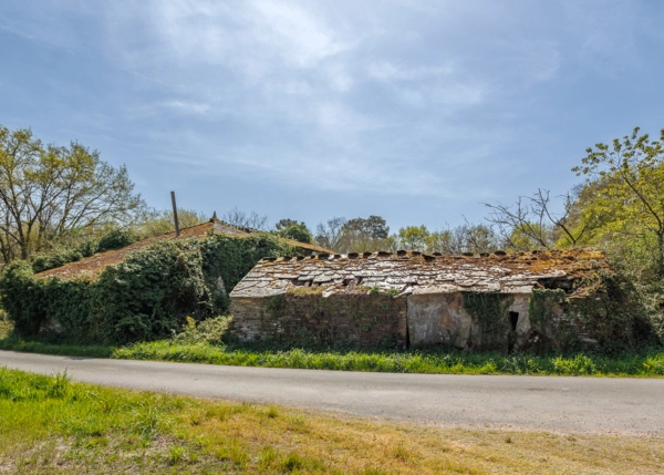 024-2796-69e65f2720040