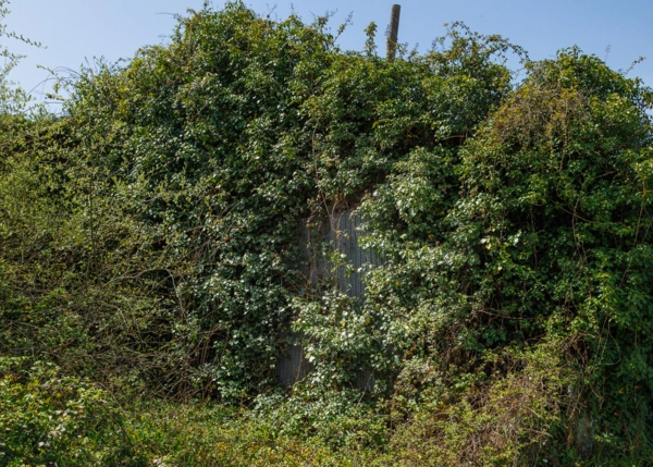 025-2796-69e65f2bed9fe