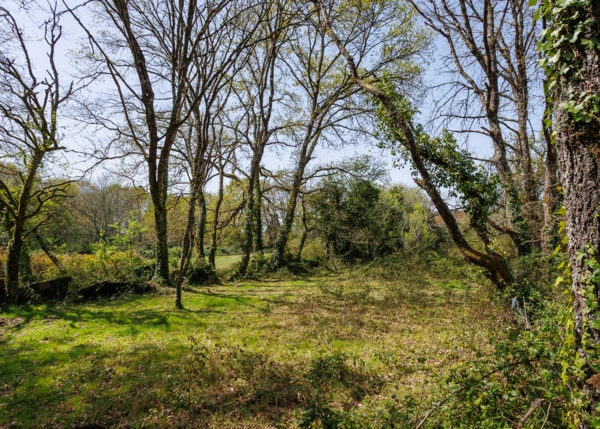 026-2796-69e65f307ae91