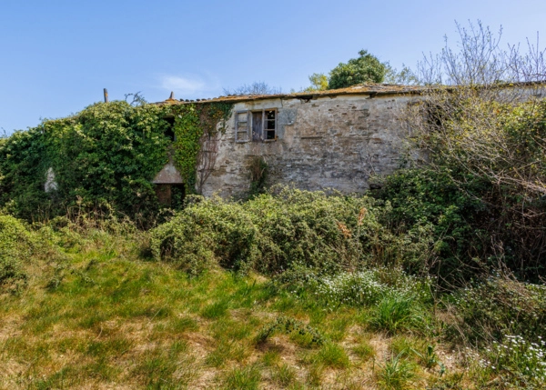 027-2796-69e65f3631b6b