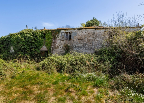 028-2796-69e65f3ae5434