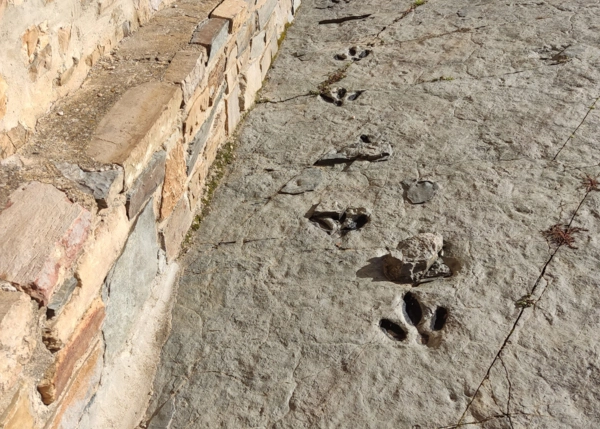 2862-004-69d38c28a4c22