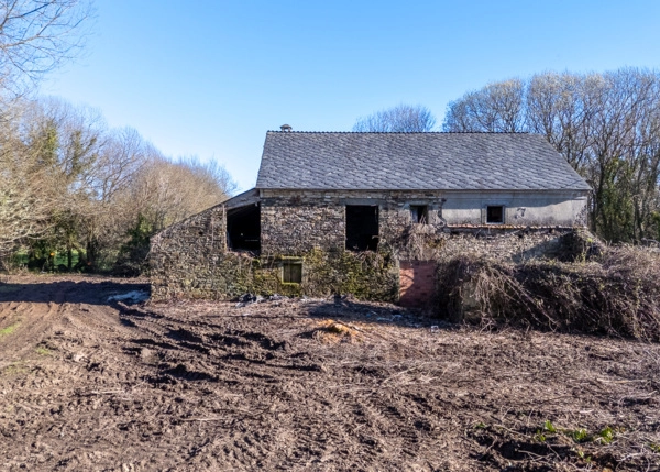 DJI-20260312174209-0226-D-69b355c3d13aa