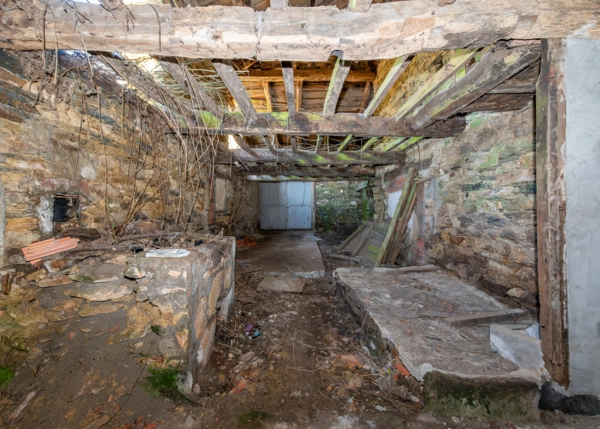 DSC-7541-69b355de43c4d