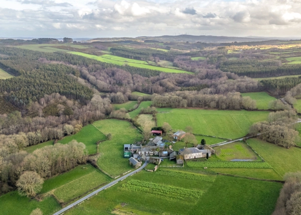 DJI-20260227170636-0117-D-69ba7fe59f4b7