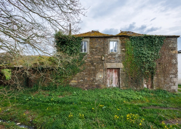 13-2889-69c3ce2e77fff