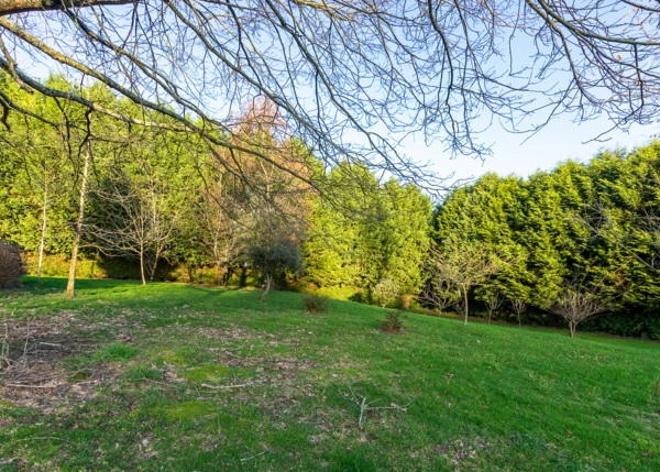 IMG4938-69e5d43cf1571