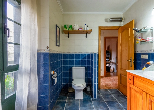 IMG4970-69e5d47e5ff3d