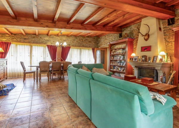 IMG4979-69e5d48904b31