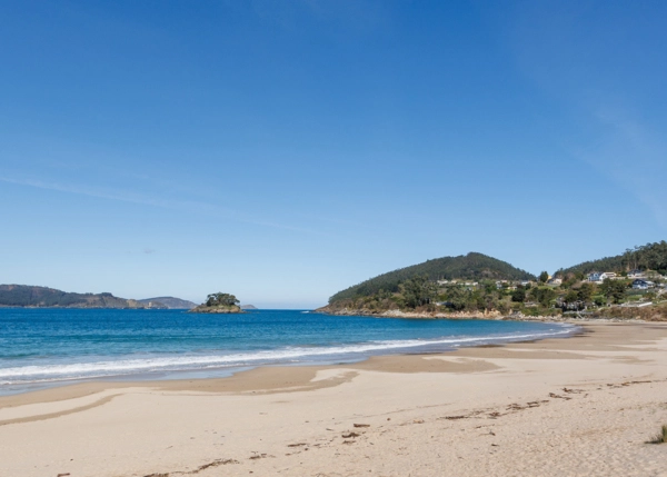 121-2892-69c63b7a9377c