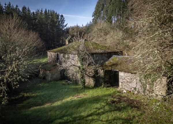 12-2898-69a55382d5666