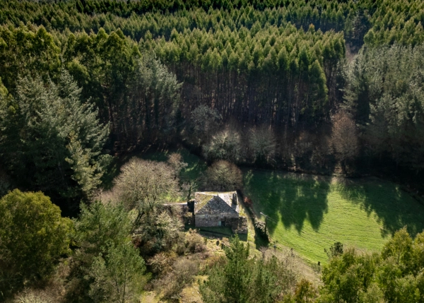 2-2898-69a5533011a6a