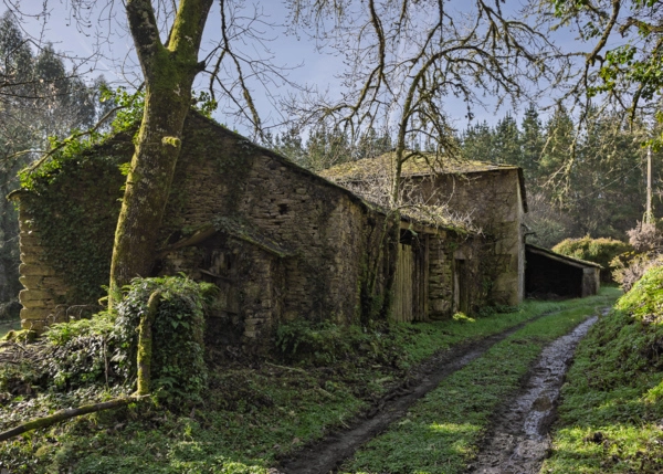 20-2898-69a553beb062b