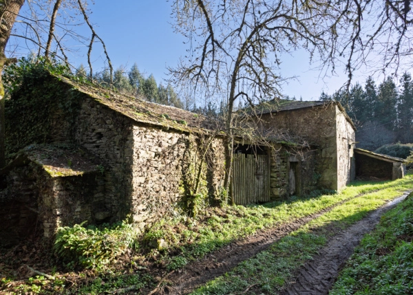 22-2898-69a553d7e58f9