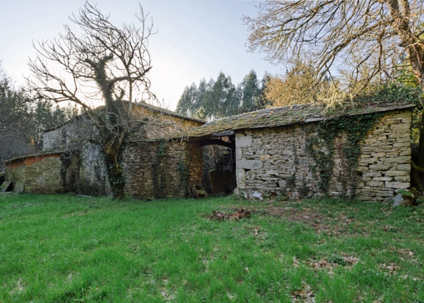 24-2898-69a553e587aed