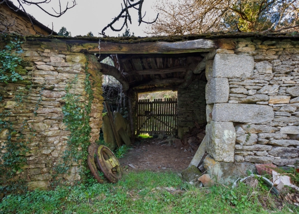 25-2898-69a553ed2d6c7