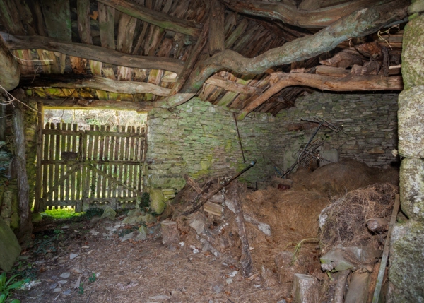 26-2898-69a553f453e3e