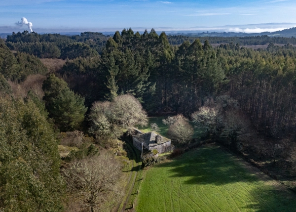 9-2898-69a5536911829