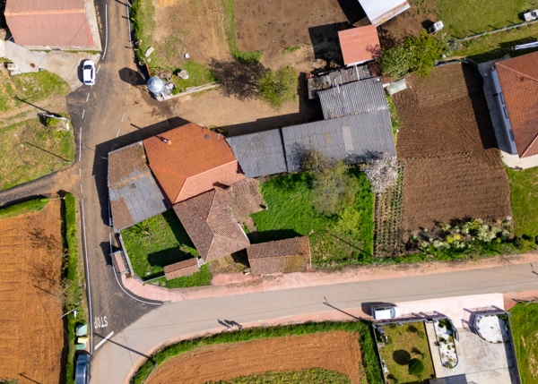 006-2957-69ea3a06bc87e