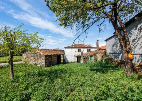 011-2957-69ea3a14b8e8a