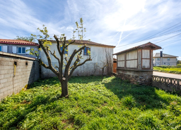 019-2957-69ea3a299b614