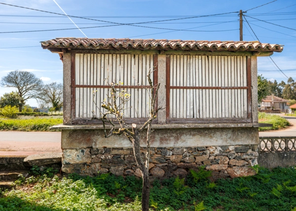 021-2957-69ea3a2eaabc8