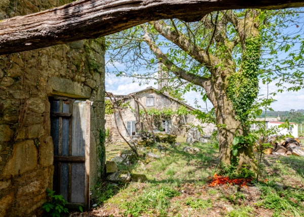 S520199-HDR-6a01d264072d0