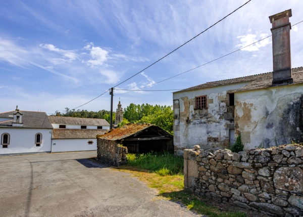 029-3036-6a245e86dfbea