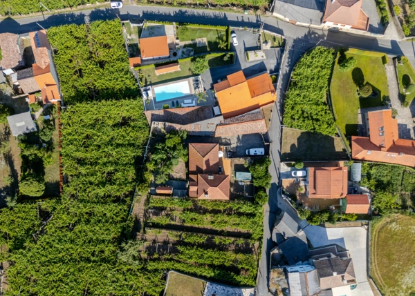 DJI-20260609190734-0287-D-HDR-6a2bc02ddbfb4