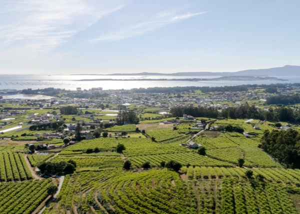 DJI-20260609190938-0294-D-HDR-6a2bc030241a6