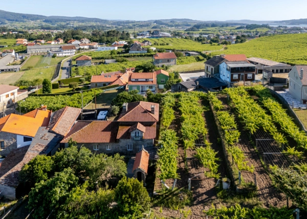 DJI-20260609191353-0310-D-HDR-6a2bc032679f9