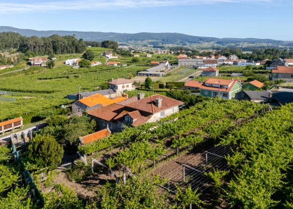 DJI-20260609191428-0317-D-HDR-6a2bc033d11dd