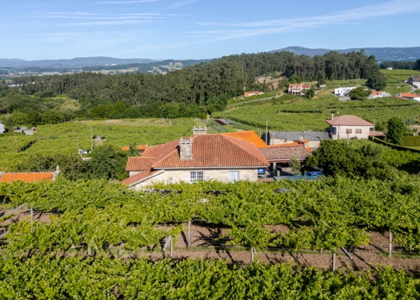 DJI-20260609191525-0320-D-HDR-6a2bc03502efe