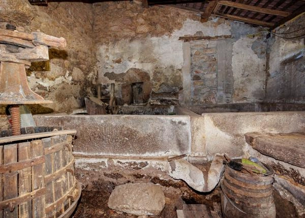 Galicia, Pontevedra, La Estrada, Berres, wine cellar