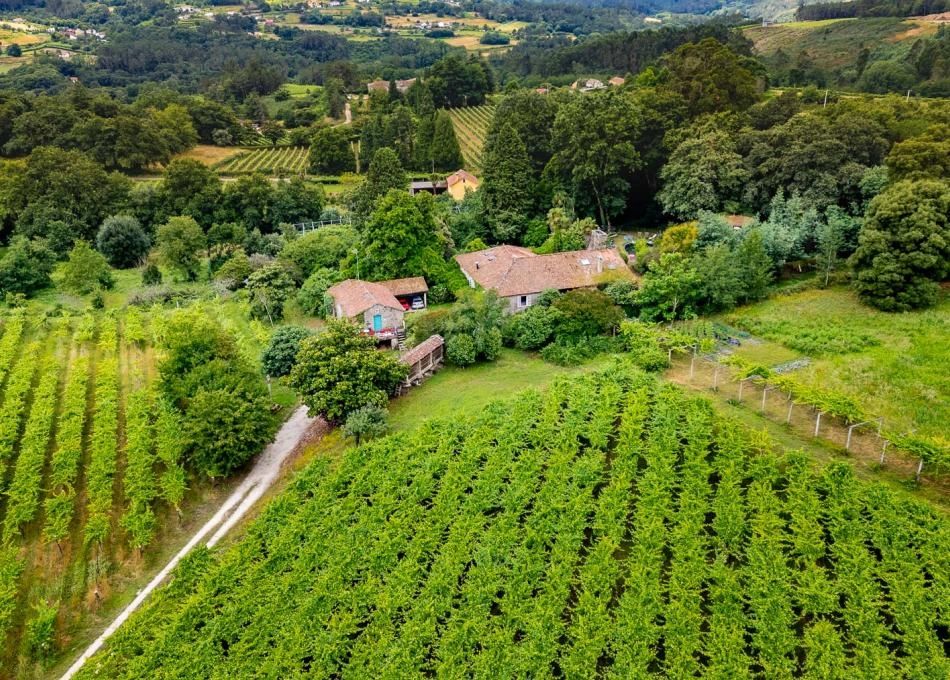 Galicia, Pontevedra, Dozar vista area 1