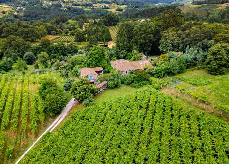 970-Galicia, Pontevedra, Dozar arial view 1