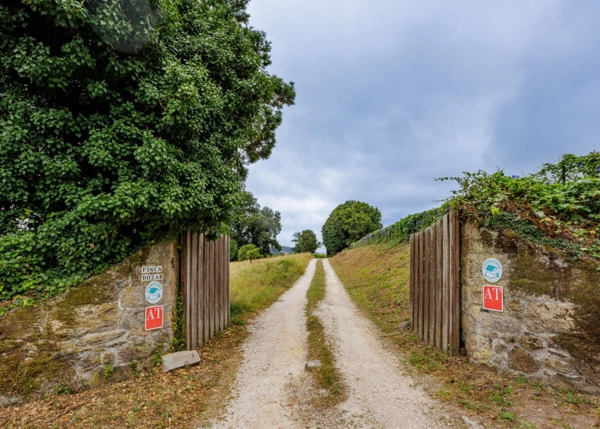 970-Galicia, Pontevedra, Dozar entrada