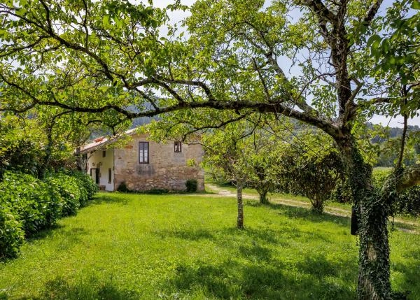 Galicia, La Coruña, Noia, vista desde jardin