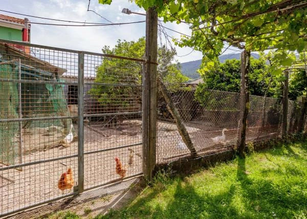 Galicia, La Coruña, Noia, gallinero