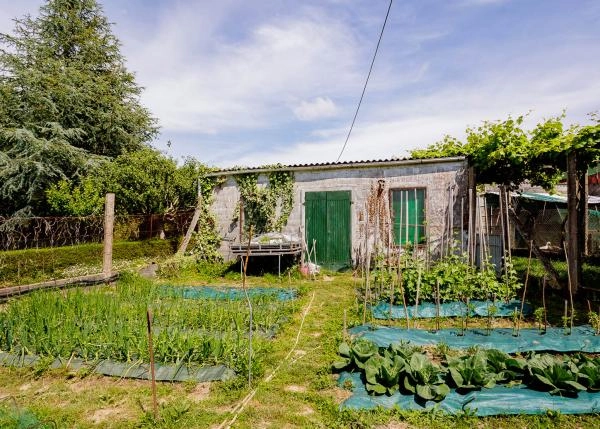 Galicia, La Coruña, Noia, huerta