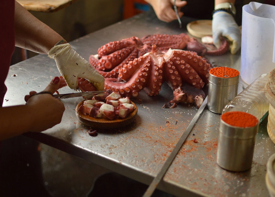 Galician-Country-Homes_gastronomy_galicia_octopus_octopuses