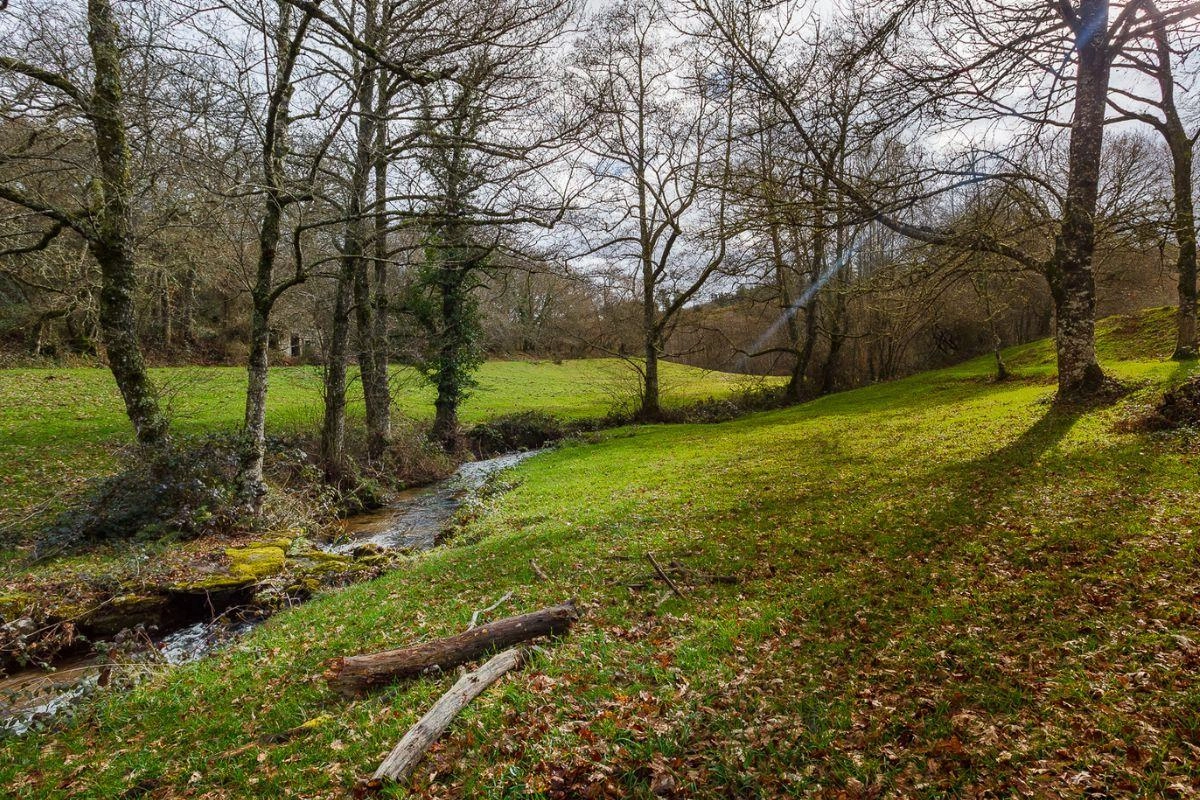 GCH-rio-galicia-campo-naturaleza