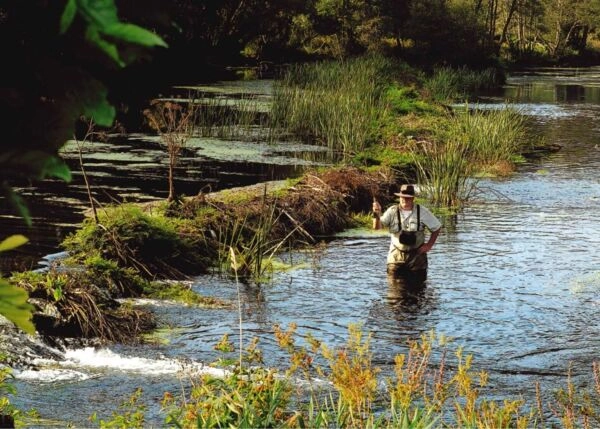 mark_adkinson_pesca_AEMS_galician_rustic